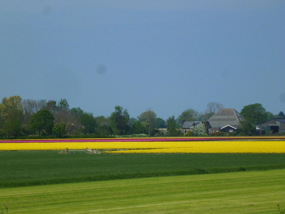 Barsingerhorn Het Burgemeestershuis Bed & Breakfast エクステリア 写真